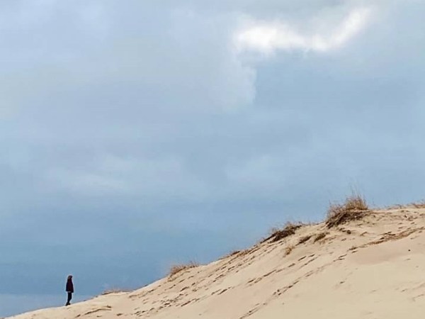 A Christmas Story and A Thanksgiving Story in Traverse City,&nbsp;MI