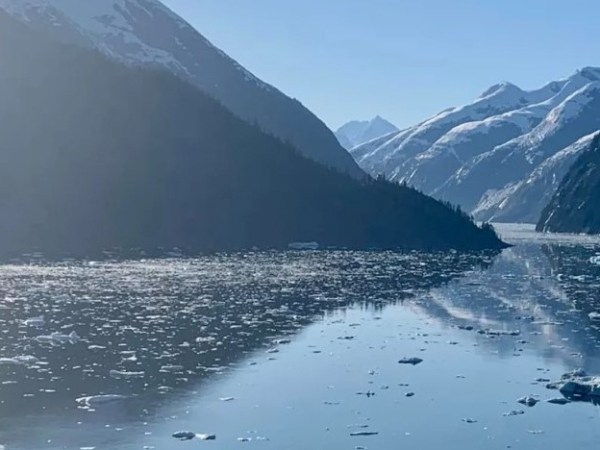 An Alaskan Cruise – with Covid and&nbsp;Norovirus